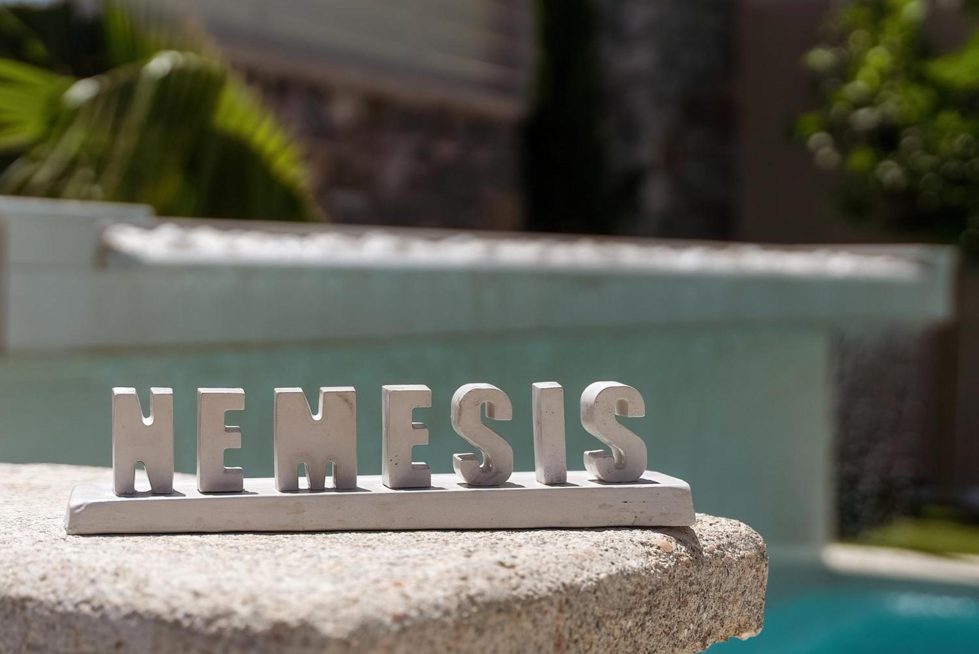 Nemesis Villas 普拉基亚斯 外观 照片